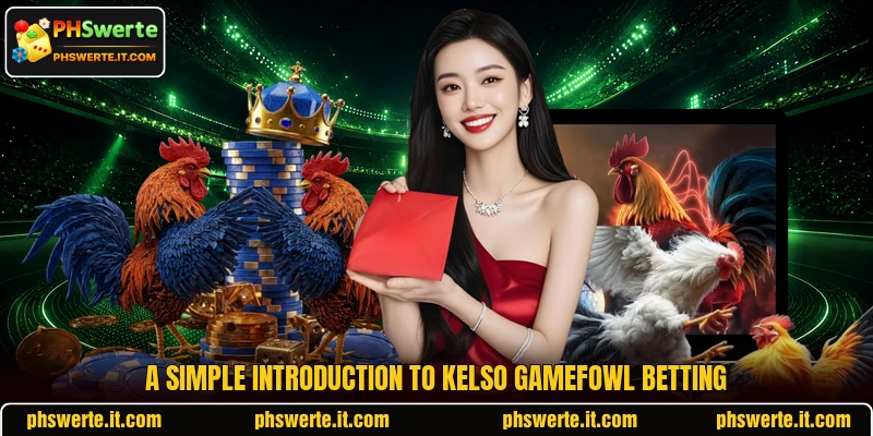 A simple introduction to Kelso Gamefowl betting A simple introduction to Kelso Gamefowl betting