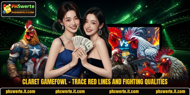 Claret Gamefowl - Trace Red Lines And Fighting Qualities