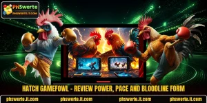 Hatch Gamefowl - Review Power, Pace And Bloodline Form