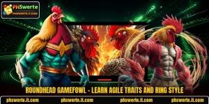 Roundhead Gamefowl - Learn Agile Traits And Ring Style