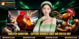 Sweater Gamefowl - Explore Durable Lines And Match Grit